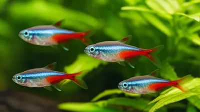 Illustration cards - Image 1