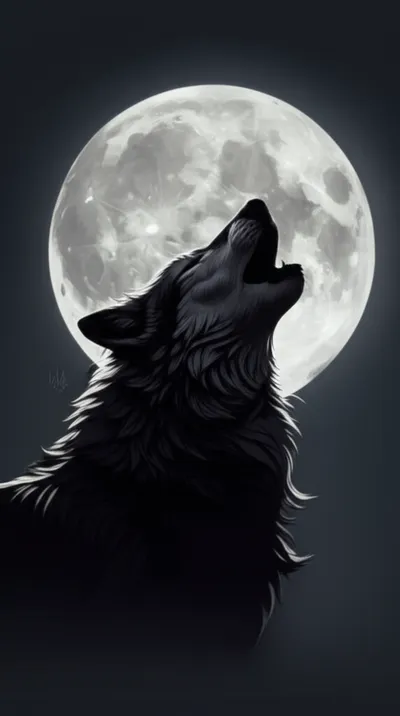 Illustration yawl - Image 1