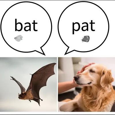 Illustration phonemic - Image 1