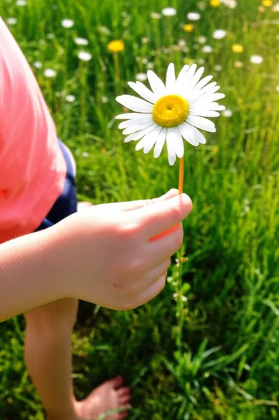 Illustration innocent - Image 1