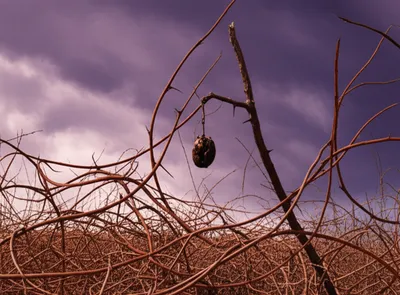 Illustration fucked - Image 1