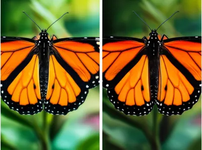 Illustration transparencies - Image 1