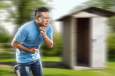 Illustration trot - Image 1