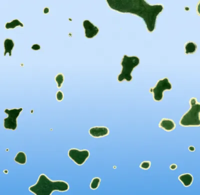 Illustration island - Image 1