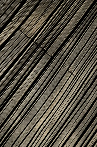 Illustration ratting - Image 1