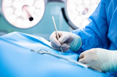 Illustration cutter - Image 1