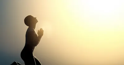 Illustration appeals - Image 1