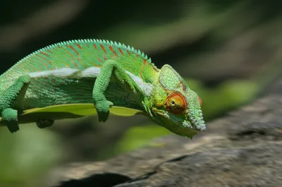 Illustration slipping - Image 1