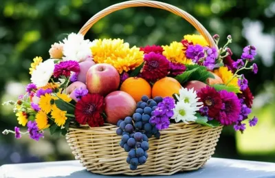 Illustration pannier - Image 1