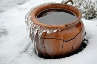 Illustration bake - Image 1