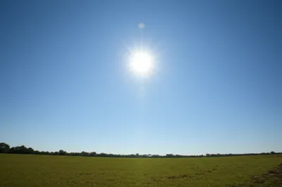 Illustration none - Image 1