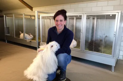 Illustration fancy - Image 1