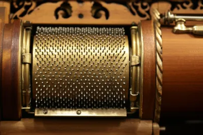 Illustration cob - Image 1