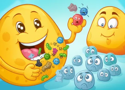 Illustration phagocytes