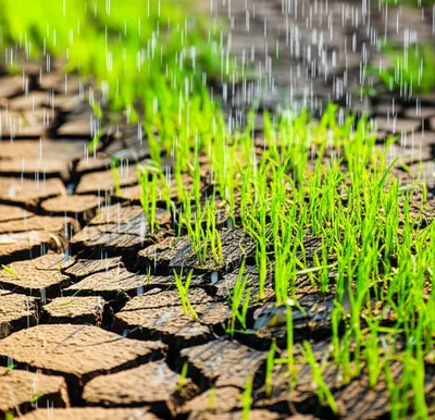 Illustration refreshes - Image 1