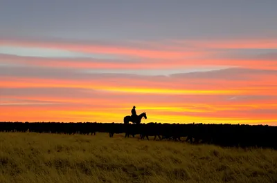 Illustration rides - Image 1