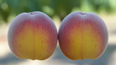 Illustration cans - Image 1