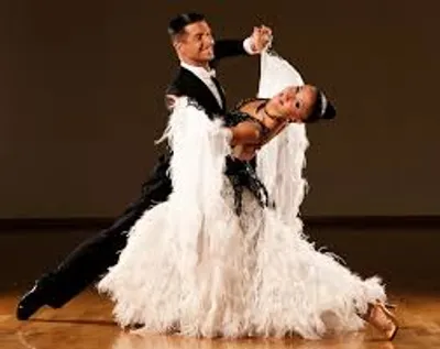 Illustration foxtrot - Image 2