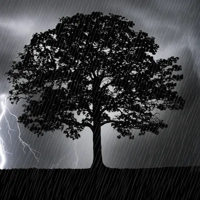 Illustration tank - Image 1