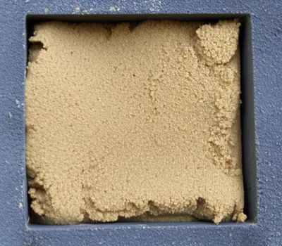 Illustration firmed - Image 1