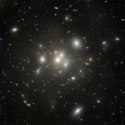 Illustration group - Image 1