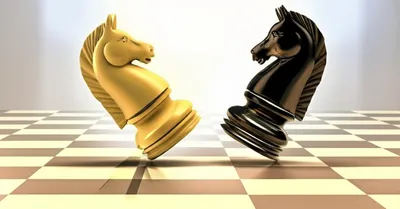 Hình ảnh minh họa reverse - Ảnh 1