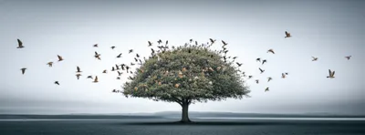 Illustration scatters - Image 1