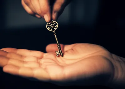 Illustration tips - Image 1