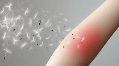 Illustration resolved - Image 1