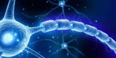 Illustration fire - Image 1