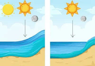 Illustration tide - Image 1