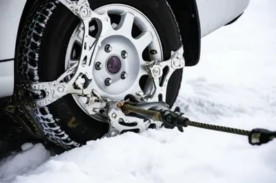 Illustration grips - Image 1