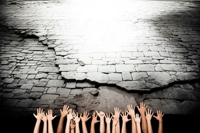 Illustration refuges - Image 1