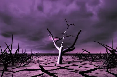 Illustration blasted - Image 1