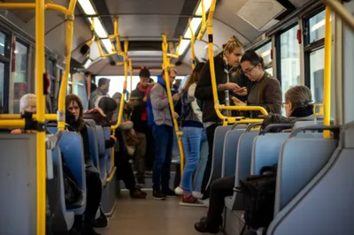 Illustration supernumerary - Image 1