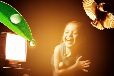 Illustration capturing - Image 1