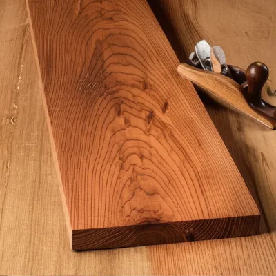 Illustration dogwood - Image 1