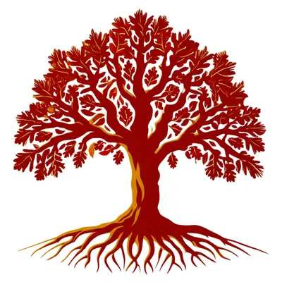 Illustration right - Image 1