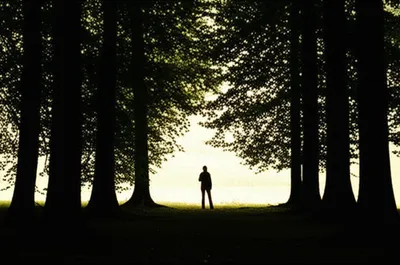 Illustration confines - Image 1