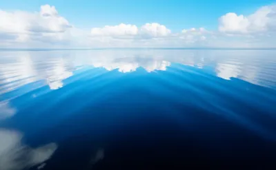 Illustration calm - Image 1