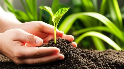 Illustration fostered - Image 1