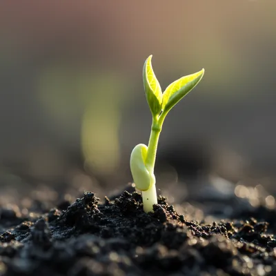 Illustration young - Image 1