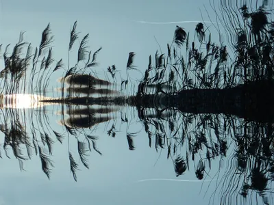 Illustration waters - Image 3