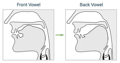 Illustration back - Image 2