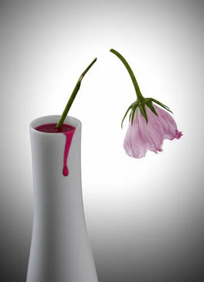 Illustration wasted - Image 1