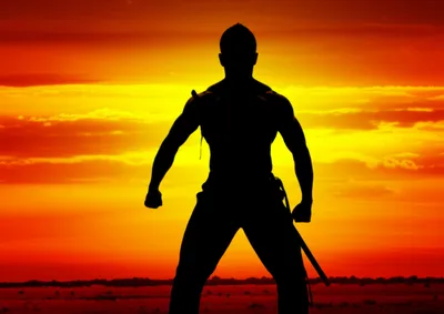 Illustration fighter - Image 1