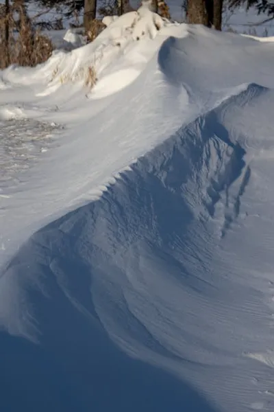 Illustration berm - Image 2