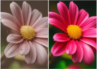 Illustration retouched