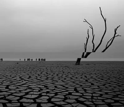 Illustration pitiless