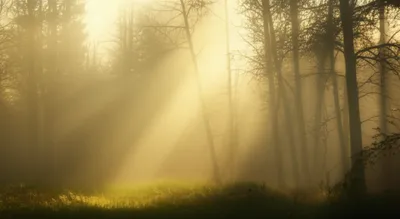 Illustration vapours - Image 1